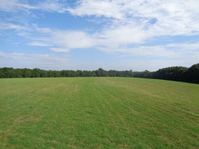 25-ac Cumbie Road Newton, AL 36352 - Photo 1 of 1