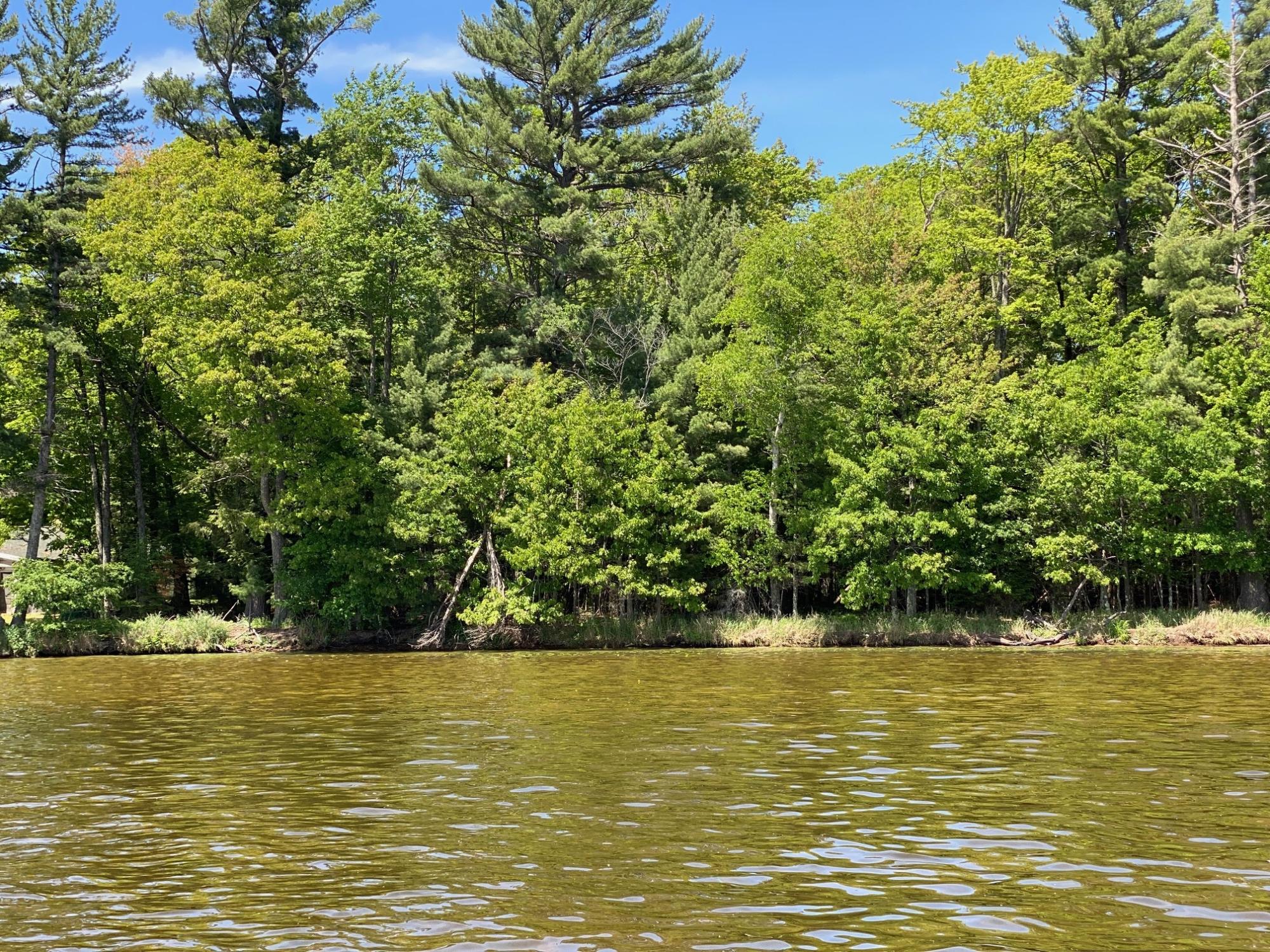 On Sabinois Point Road Pelican Lake, WI 54463 - Photo 3 of 19 Gallery Image 3