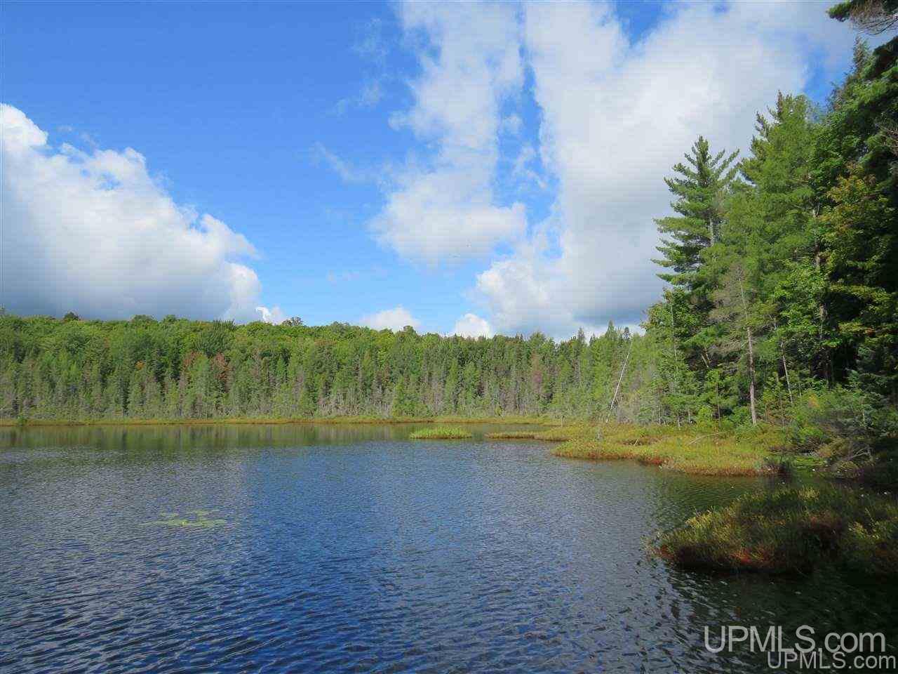Tbd Off Lake On Three Road Trout Creek, MI 49967 - Photo 18 of 50