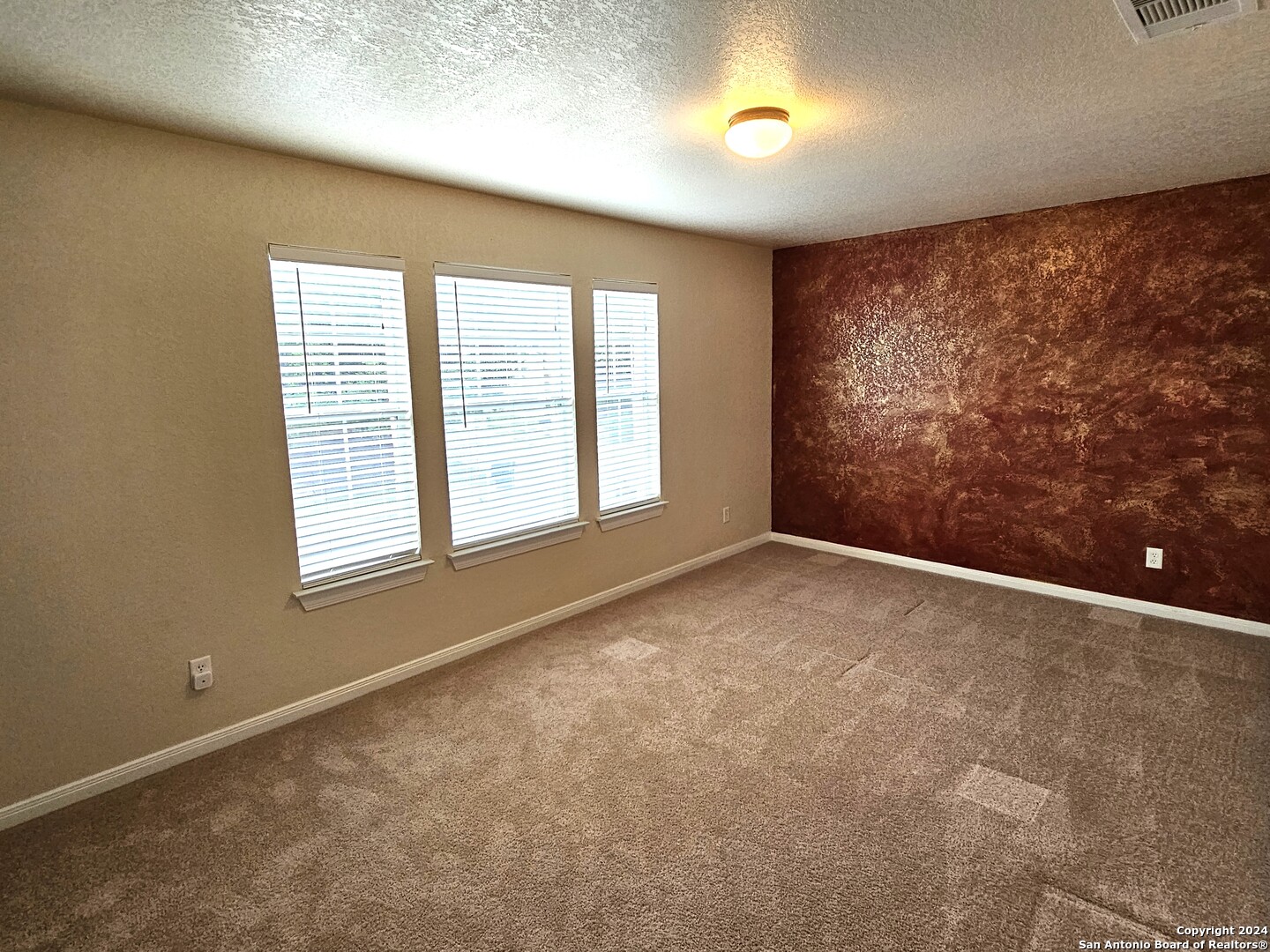 208 Springtree Cove Cibolo, TX 78108 - Photo 28 of 36
