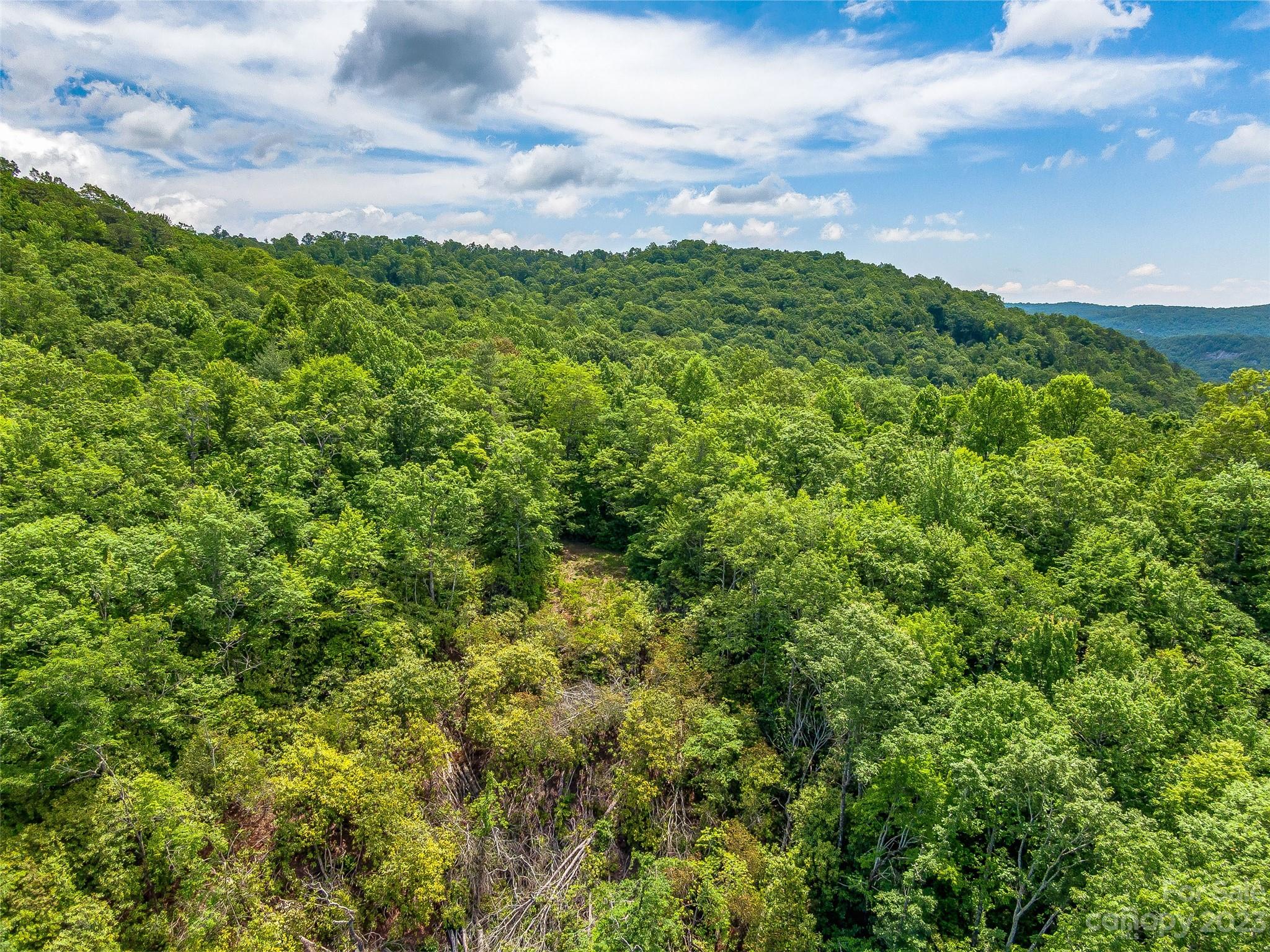 999 Big Hill Road Brevard, NC 28712 - Photo 11 of 30 a view of a bunch of trees