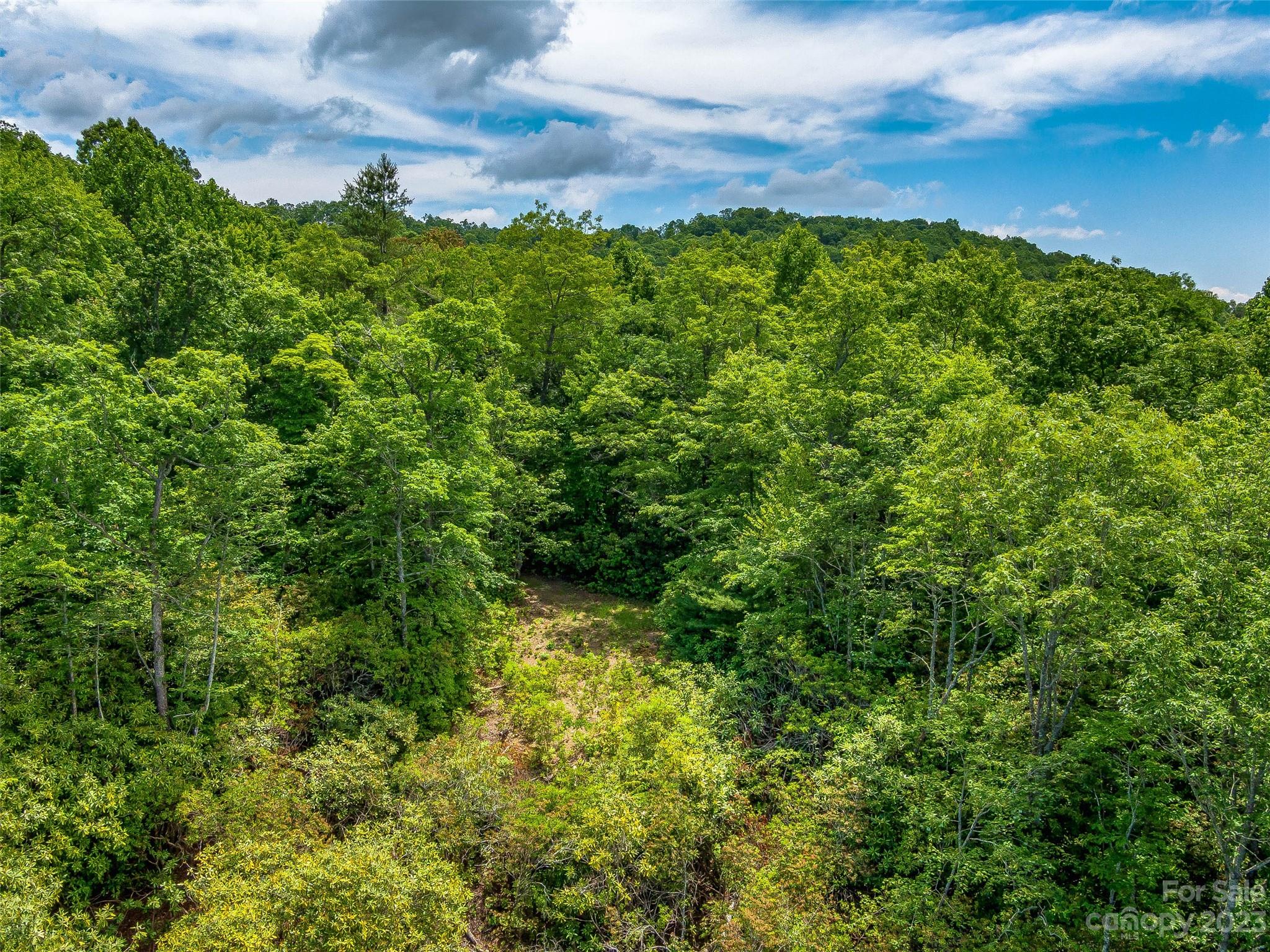 999 Big Hill Road Brevard, NC 28712 - Photo 12 of 30 a view of a garden