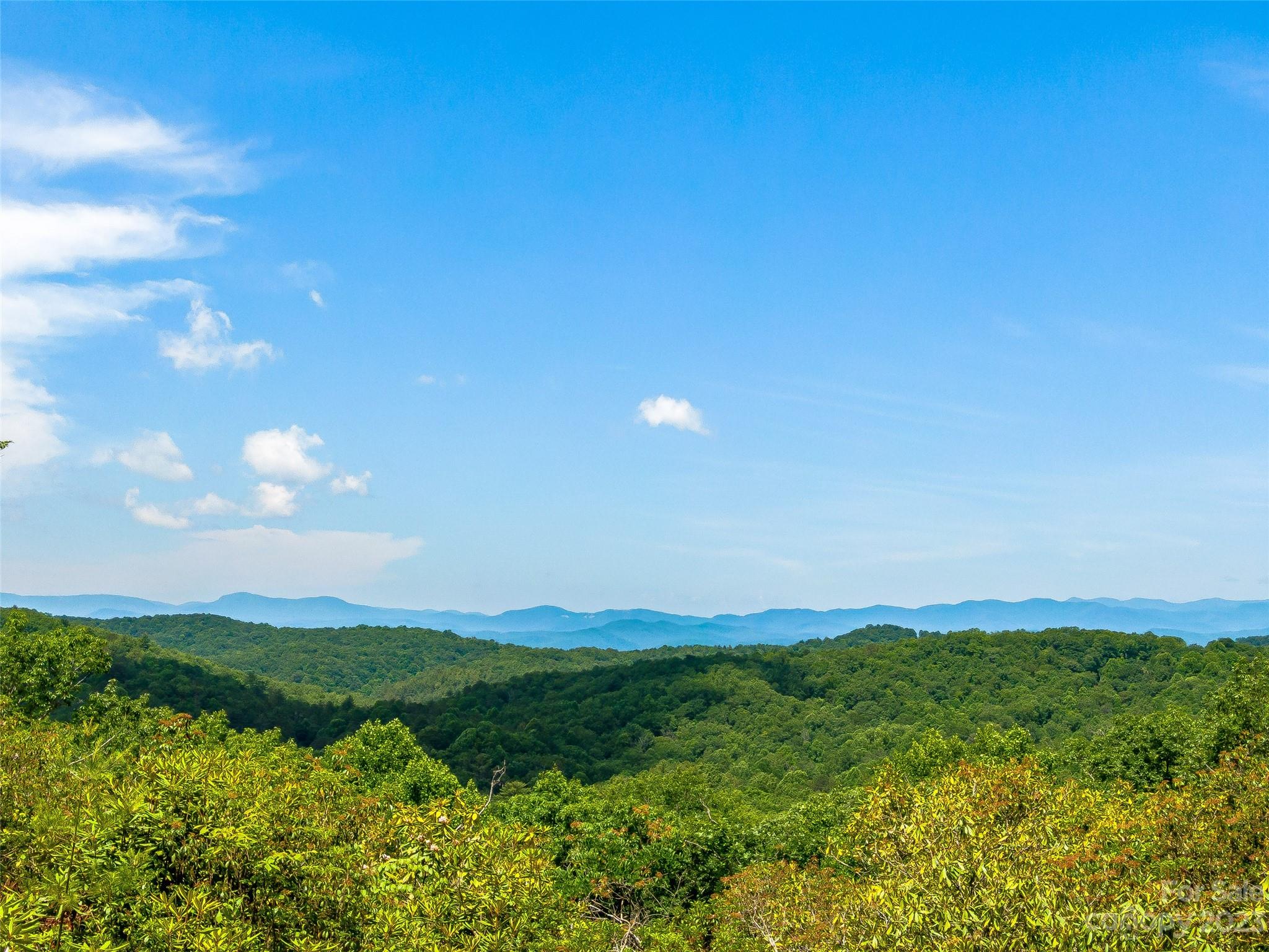 999 Big Hill Road Brevard, NC 28712 - Photo 14 of 30 a view of lake and mountain