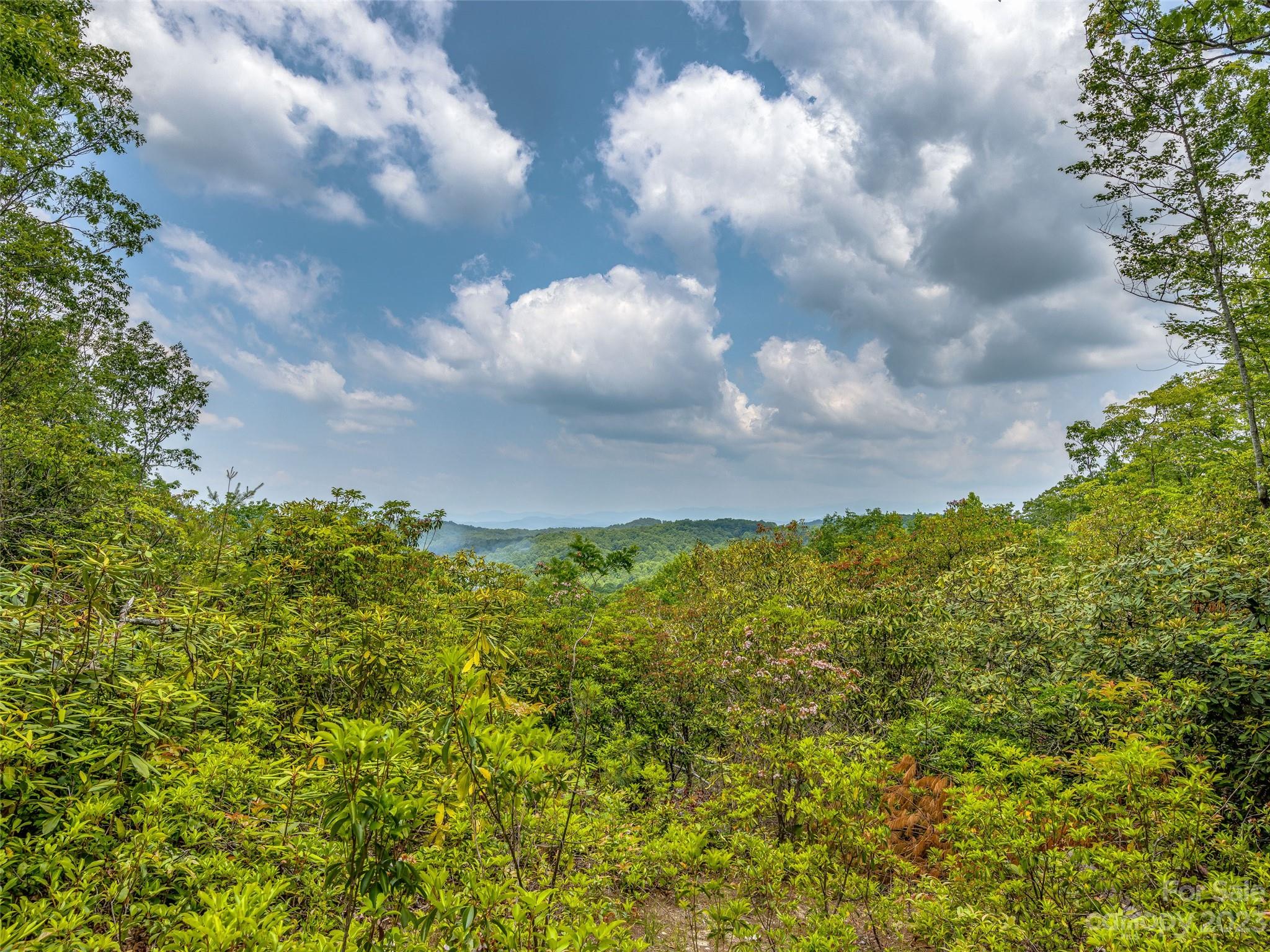 999 Big Hill Road Brevard, NC 28712 - Photo 15 of 30 a view of a bunch of trees in background