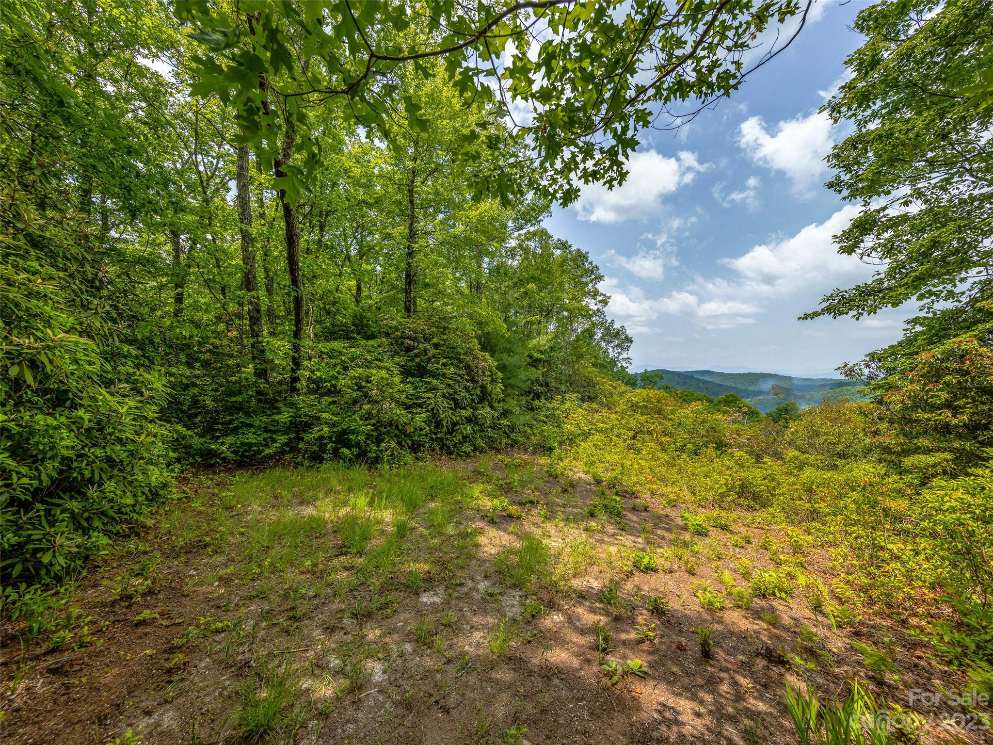 999 Big Hill Road Brevard, NC 28712 - Photo 17 of 30 a view of a big yard with plants and large trees