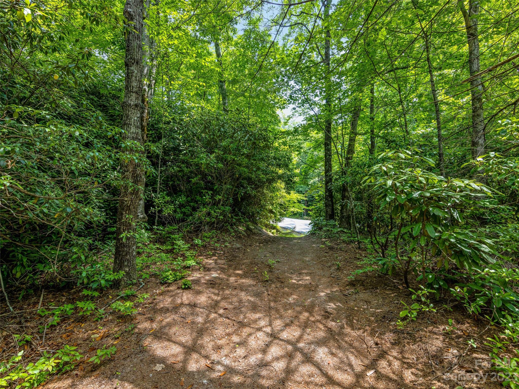 999 Big Hill Road Brevard, NC 28712 - Photo 18 of 30 a view of a forest with trees in the background