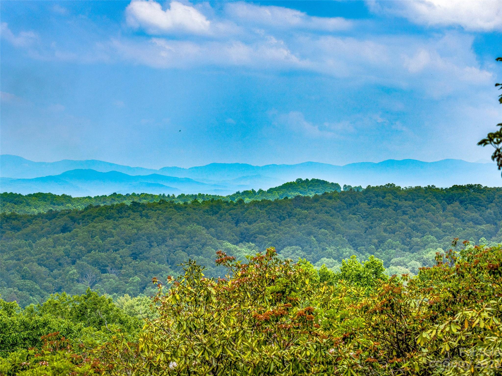999 Big Hill Road Brevard, NC 28712 - Photo 19 of 30 a view of a lake with a mountain in the background