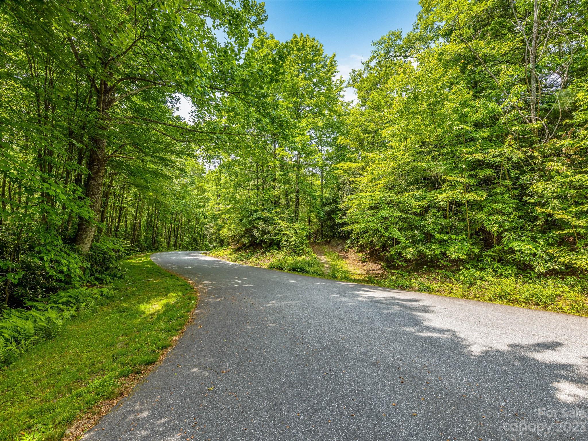 999 Big Hill Road Brevard, NC 28712 - Photo 20 of 30 a view of a yard with a tree