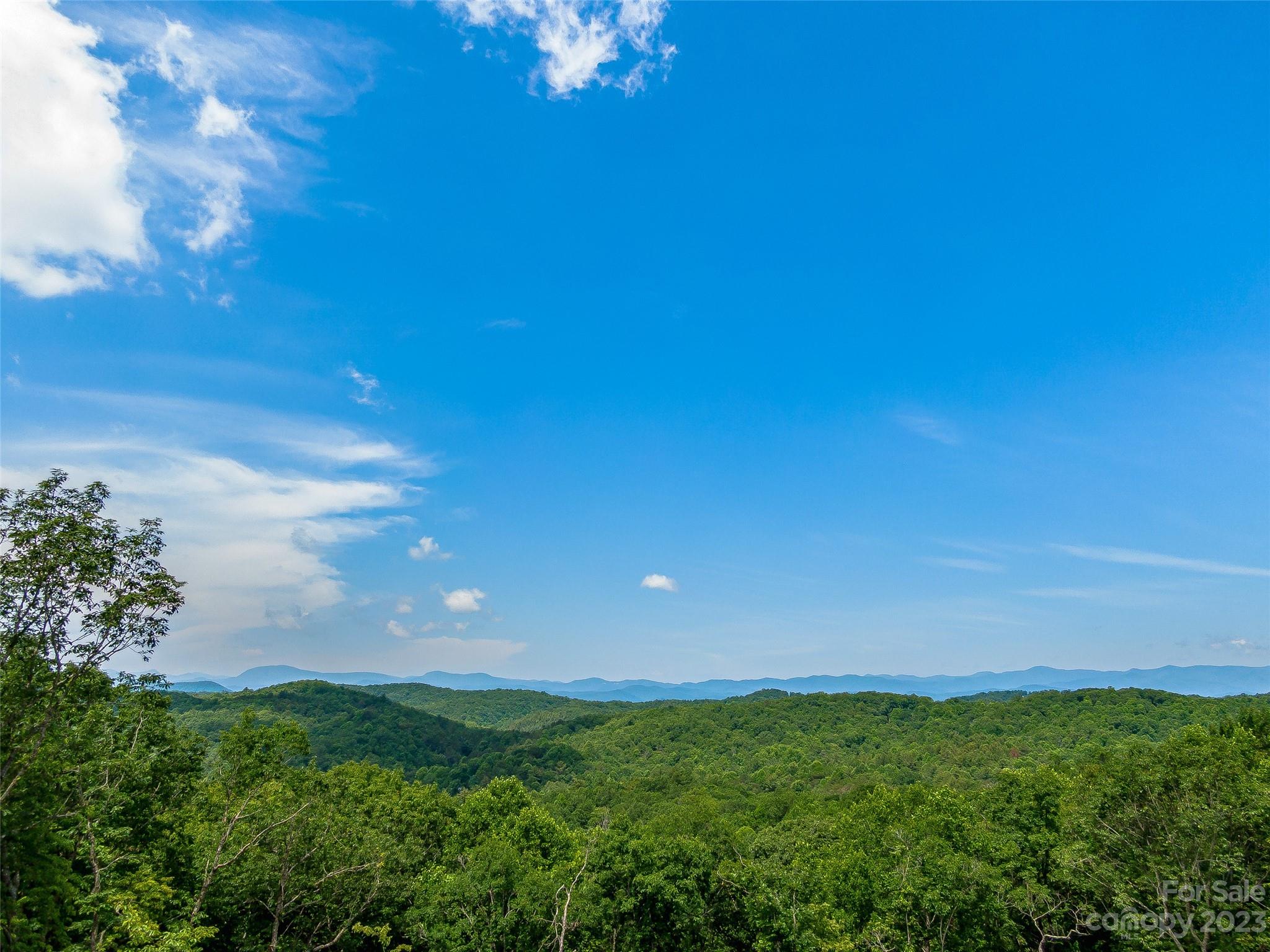 999 Big Hill Road Brevard, NC 28712 - Photo 2 of 30 a view of a big yard