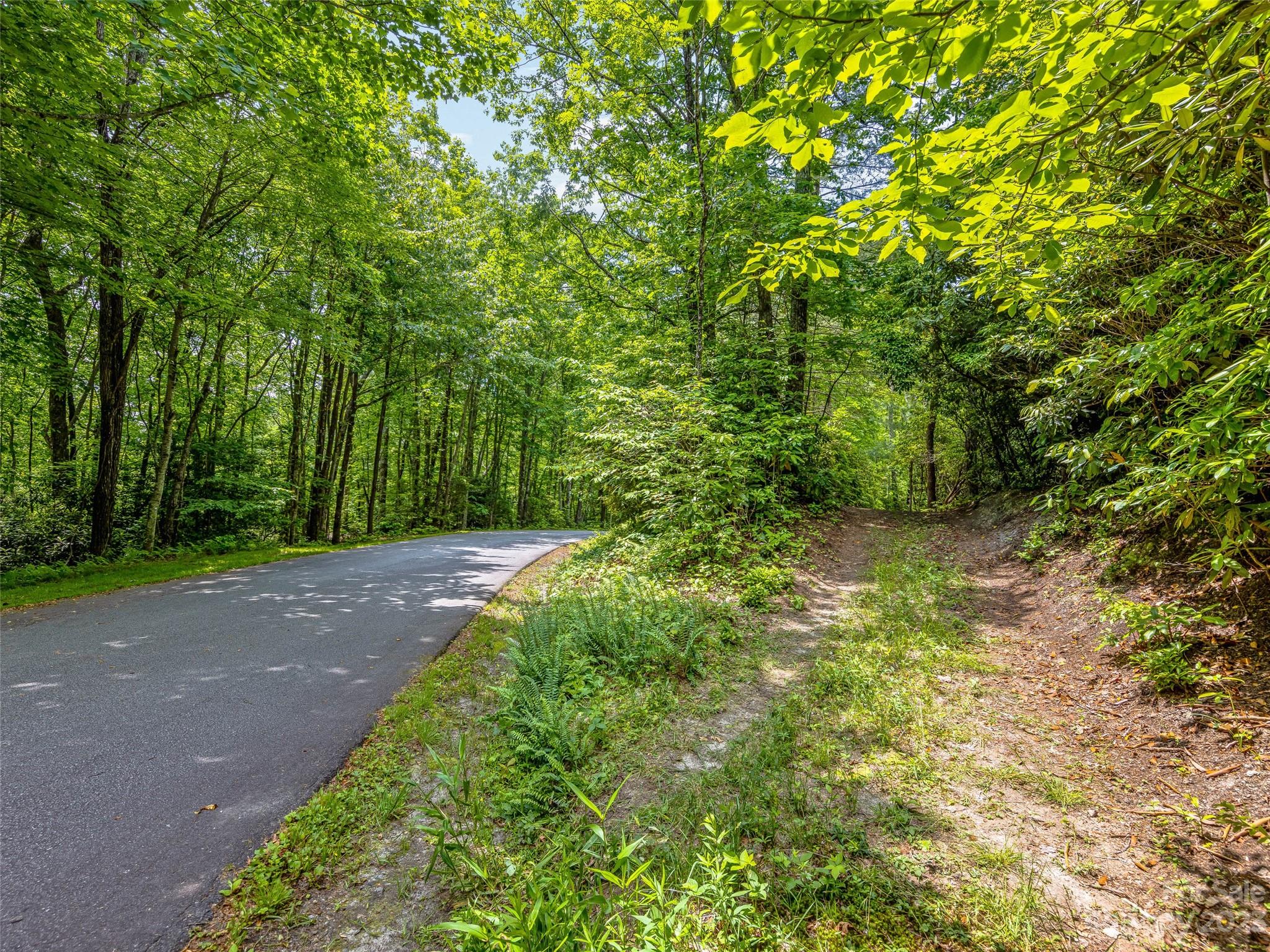 999 Big Hill Road Brevard, NC 28712 - Photo 21 of 30 a view of a yard with large trees