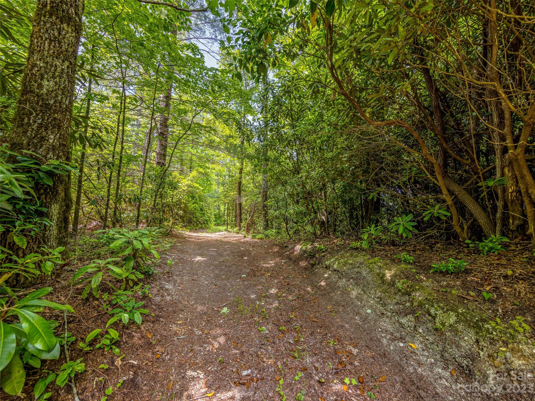999 Big Hill Road Brevard, NC 28712 - Photo 22 of 30 a view of outdoor space and trees