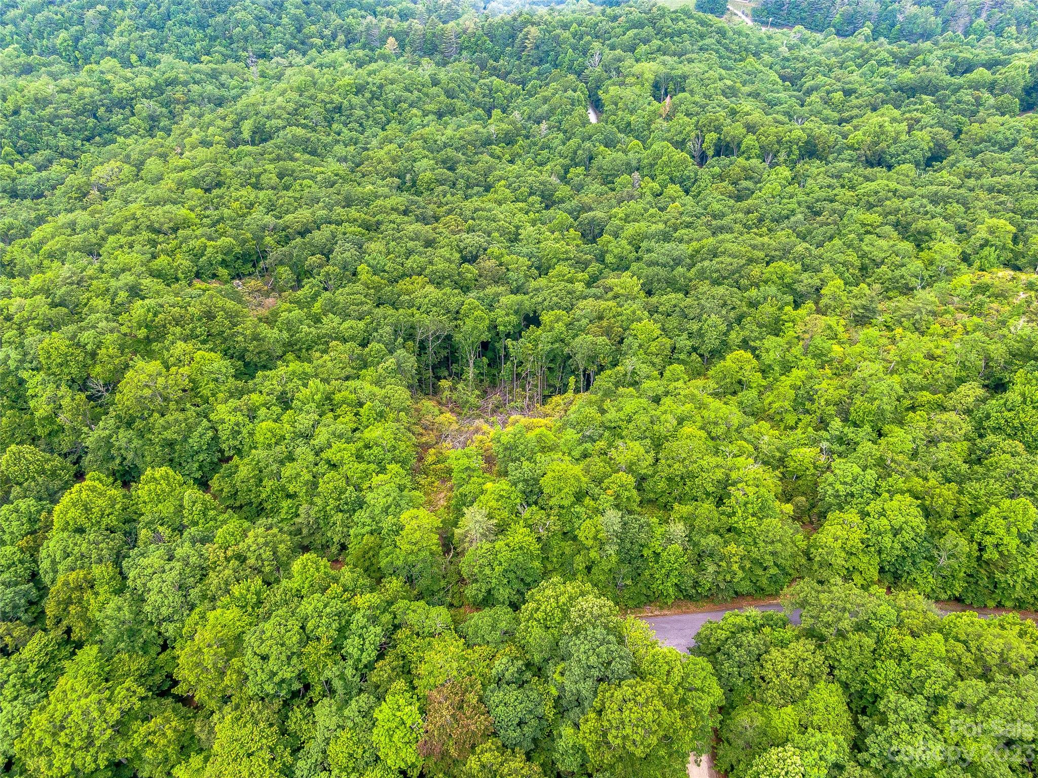 999 Big Hill Road Brevard, NC 28712 - Photo 25 of 30 a view of a lush green forest