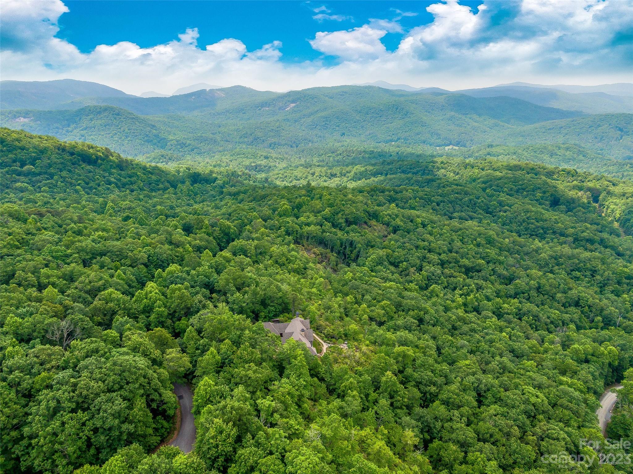 999 Big Hill Road Brevard, NC 28712 - Photo 26 of 30 a view of a lush green forest with trees in the background
