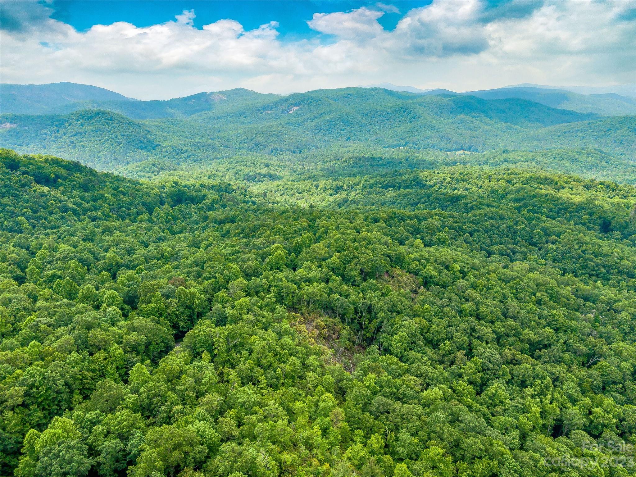 999 Big Hill Road Brevard, NC 28712 - Photo 27 of 30 a view of a lush green hillside and a houses