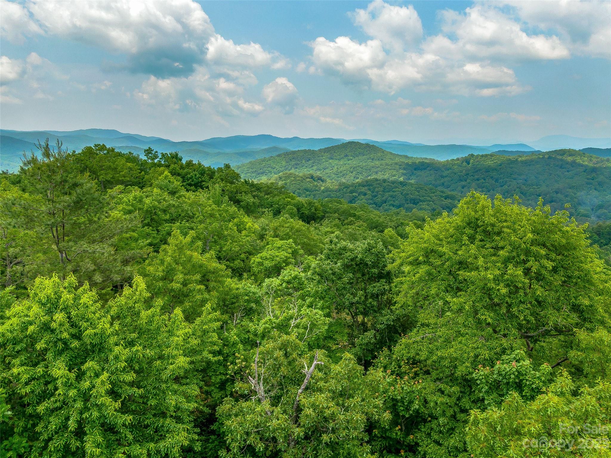 999 Big Hill Road Brevard, NC 28712 - Photo 30 of 30 a view of a big yard with lots of green space