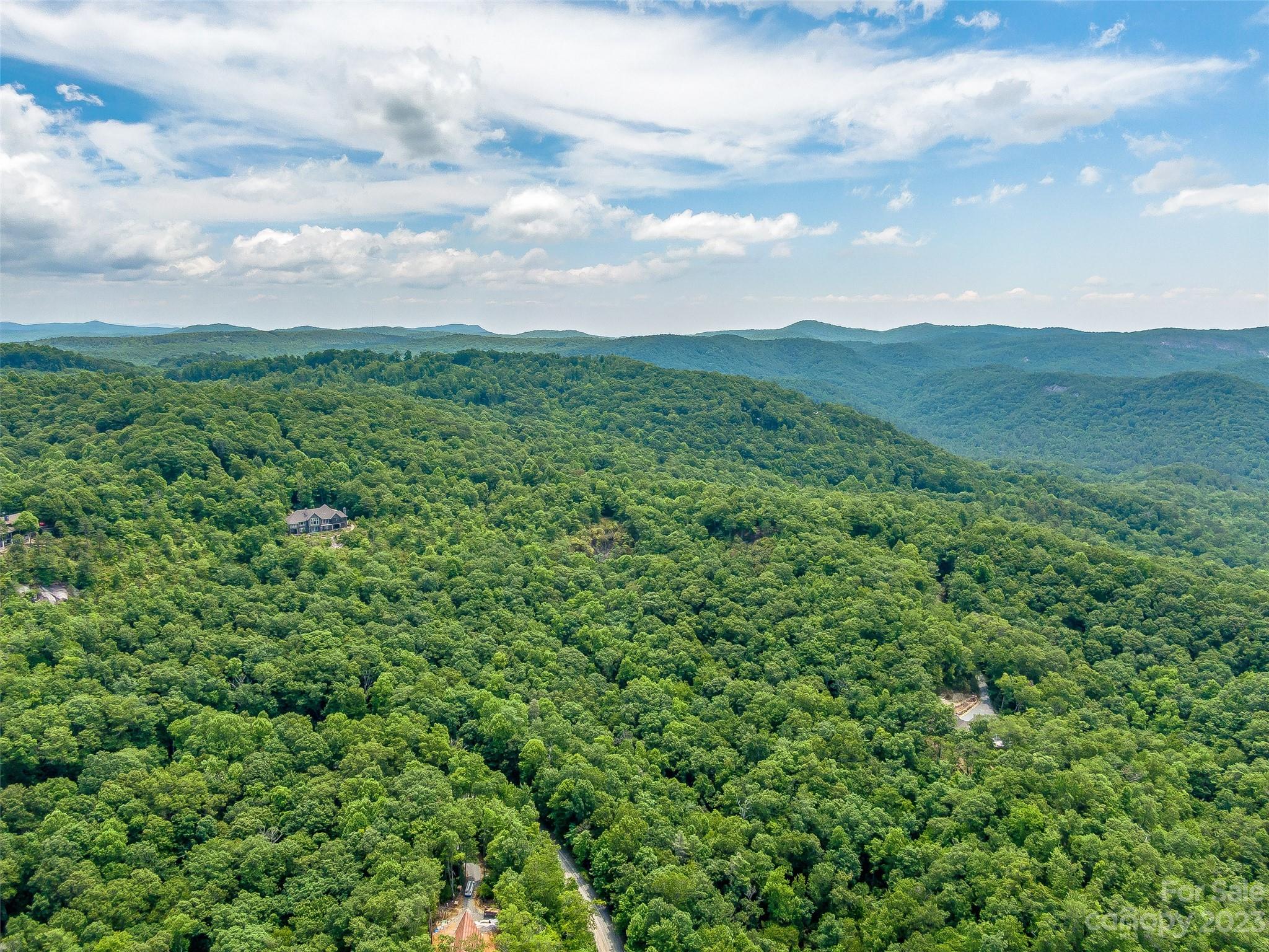 999 Big Hill Road Brevard, NC 28712 - Photo 7 of 30 a view of a green field with lots of bushes