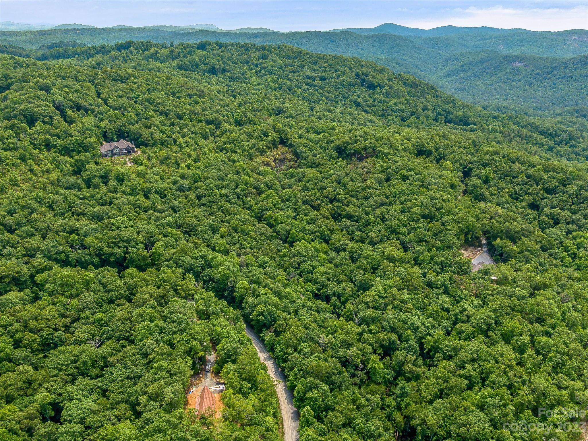 999 Big Hill Road Brevard, NC 28712 - Photo 8 of 30 a view of a lush green forest with trees in the background