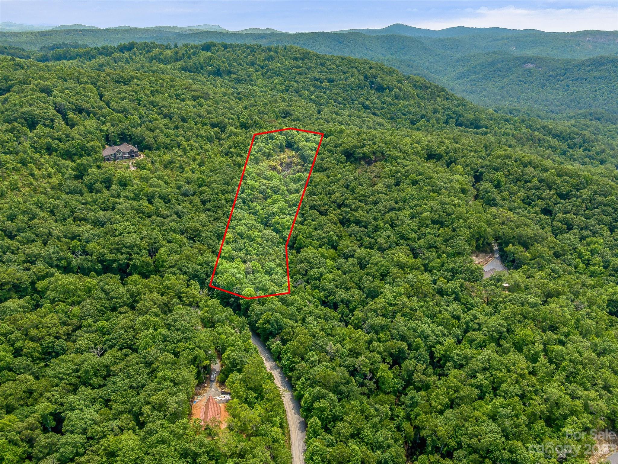 999 Big Hill Road Brevard, NC 28712 - Photo 9 of 30 a view of a lush green forest with trees in the background
