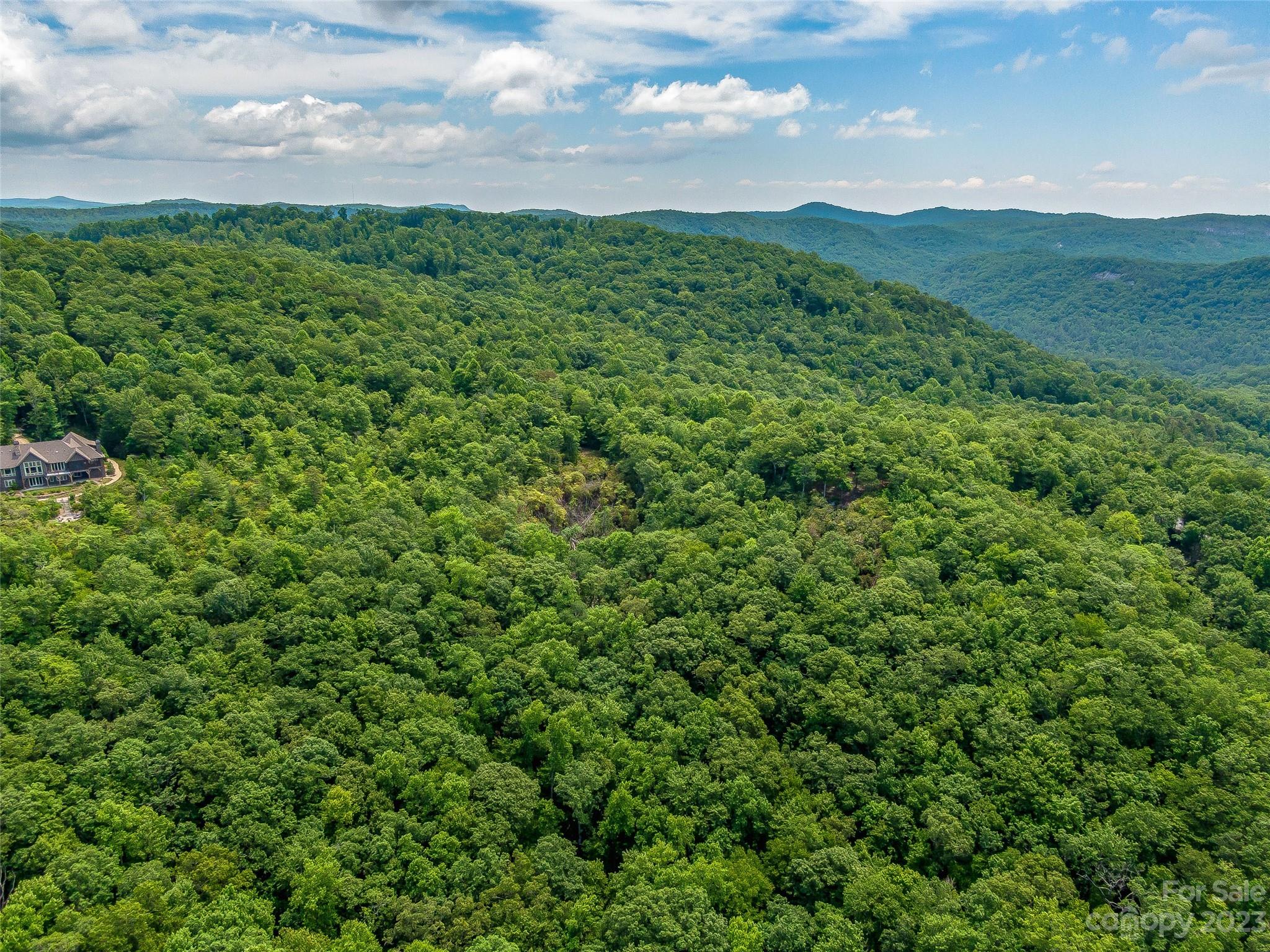 999 Big Hill Road Brevard, NC 28712 - Photo 10 of 30 a view of a green field with lots of bushes