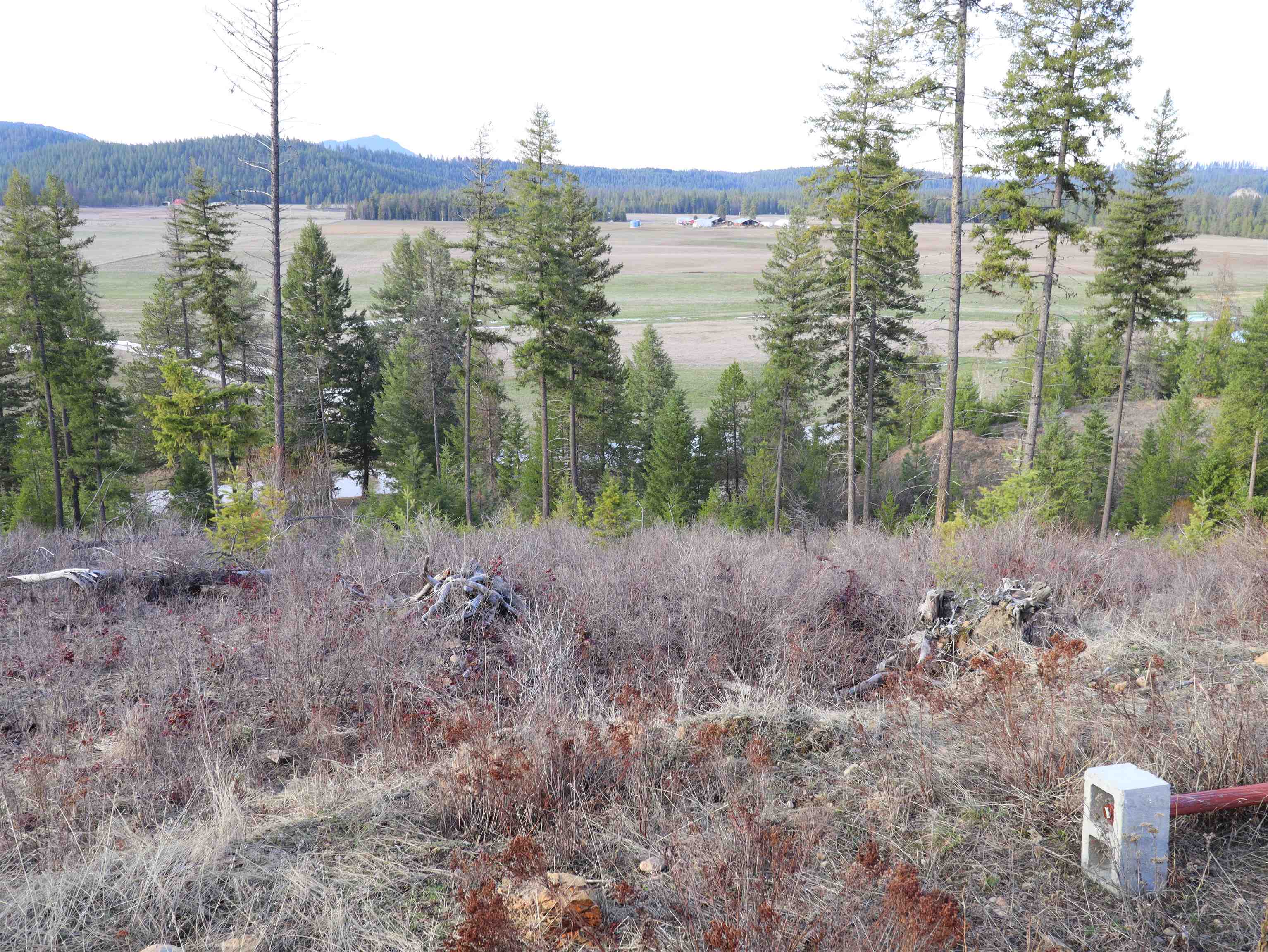 4962 Lyons Hill Road Springdale, WA 99173 - Photo 21 of 24