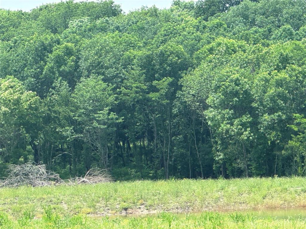 1829 Old Millwood Road Rockwall, TX 75087 - Photo 2 of 4 a view of backyard with green space
