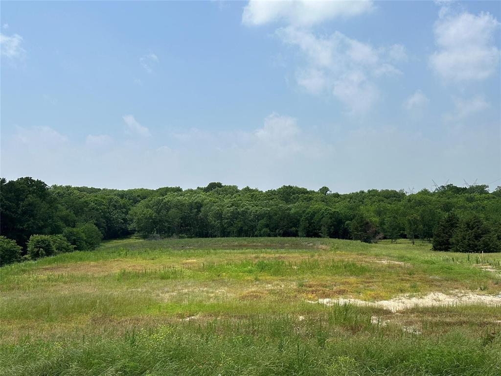1829 Old Millwood Road Rockwall, TX 75087 - Photo 3 of 4 a view of a field with a trees in the background
