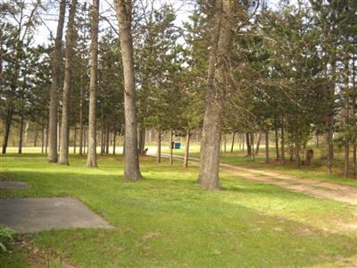 1719 3 Mile Road Luther, MI 49656 - Photo 3 of 10 Additional Photo