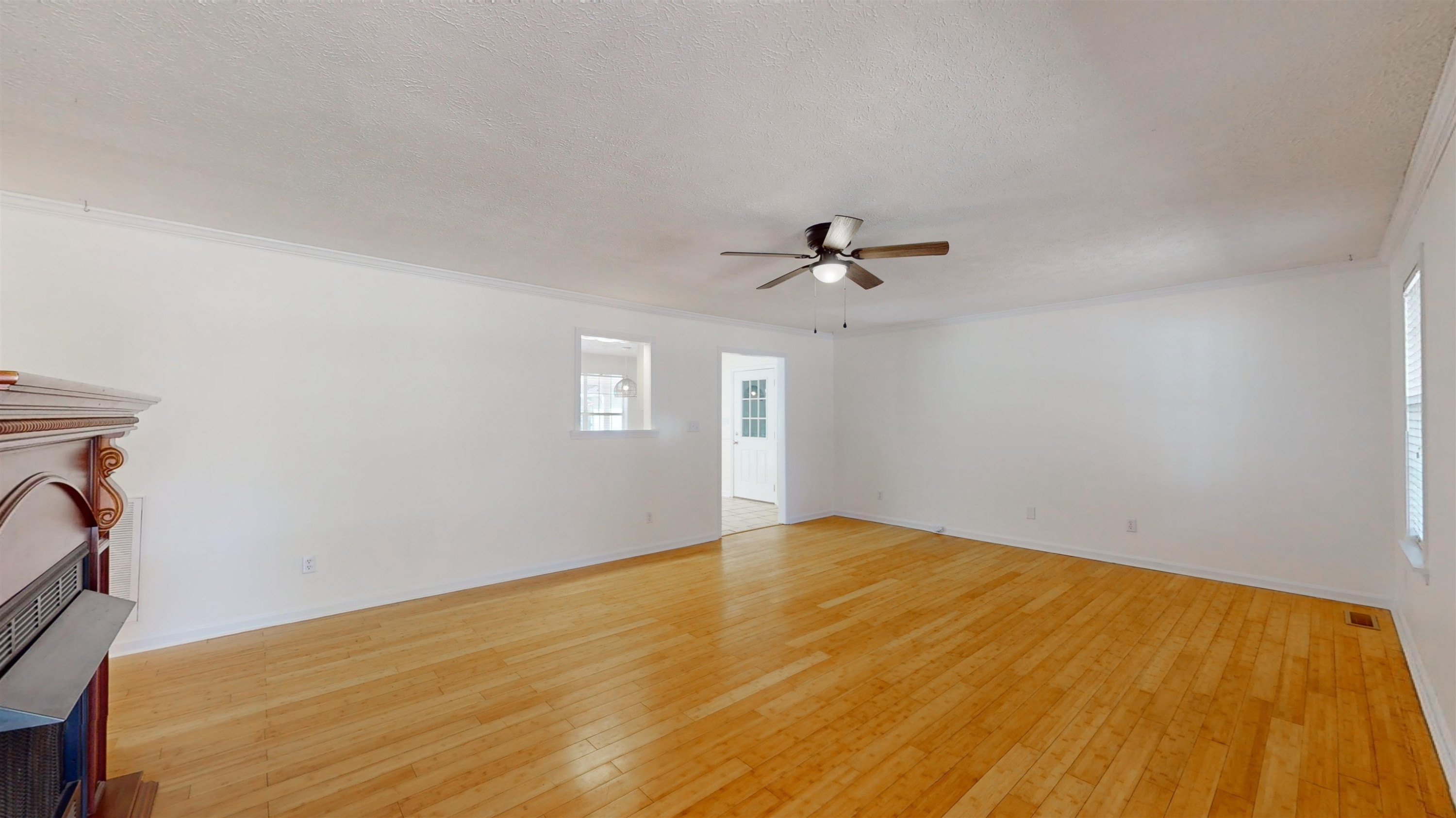 246 Springview Drive Jackson, TN 38305 - Photo 11 of 28 Photo 11