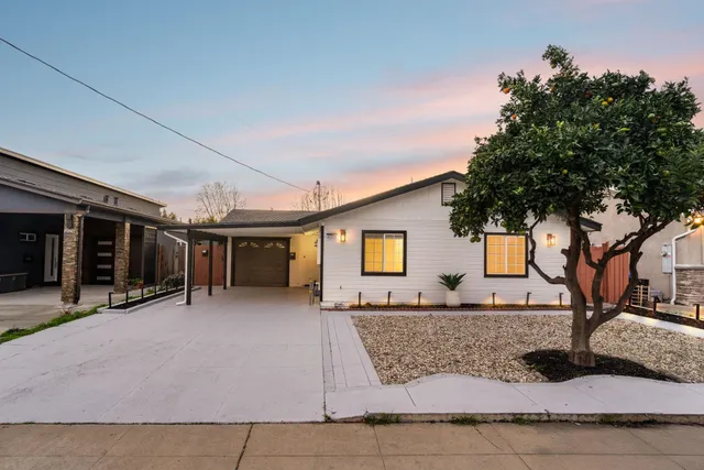 a living room with furniture flowerpot and a potted plant