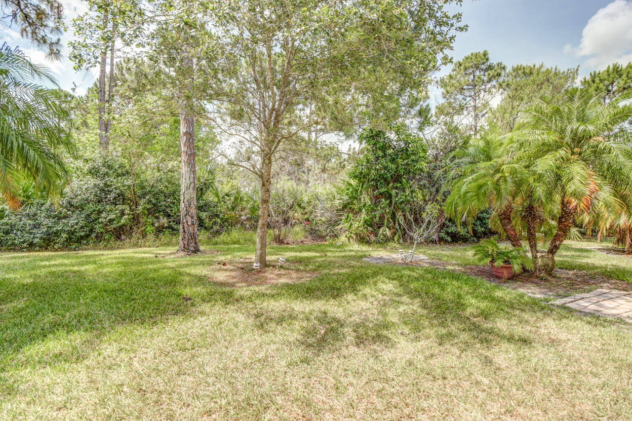 353 Springview Loop Port St. Lucie, FL 34986 - Photo 17 of 17 Yard
