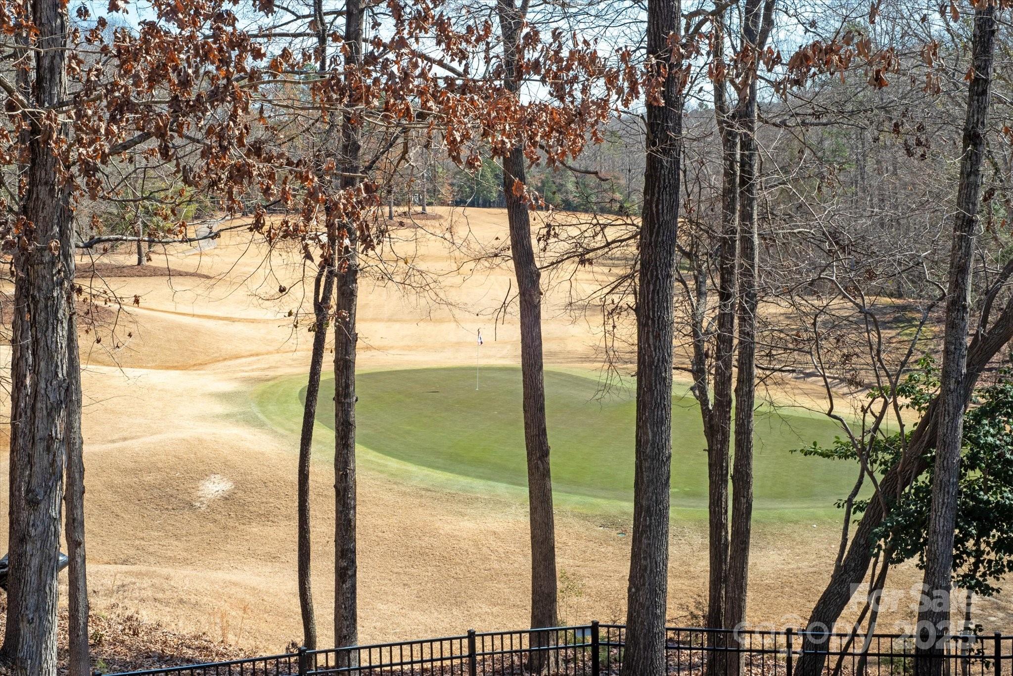 2144 Tatton Hall Road Fort Mill, SC 29715 - Photo 7 of 48 Gallery Image 7