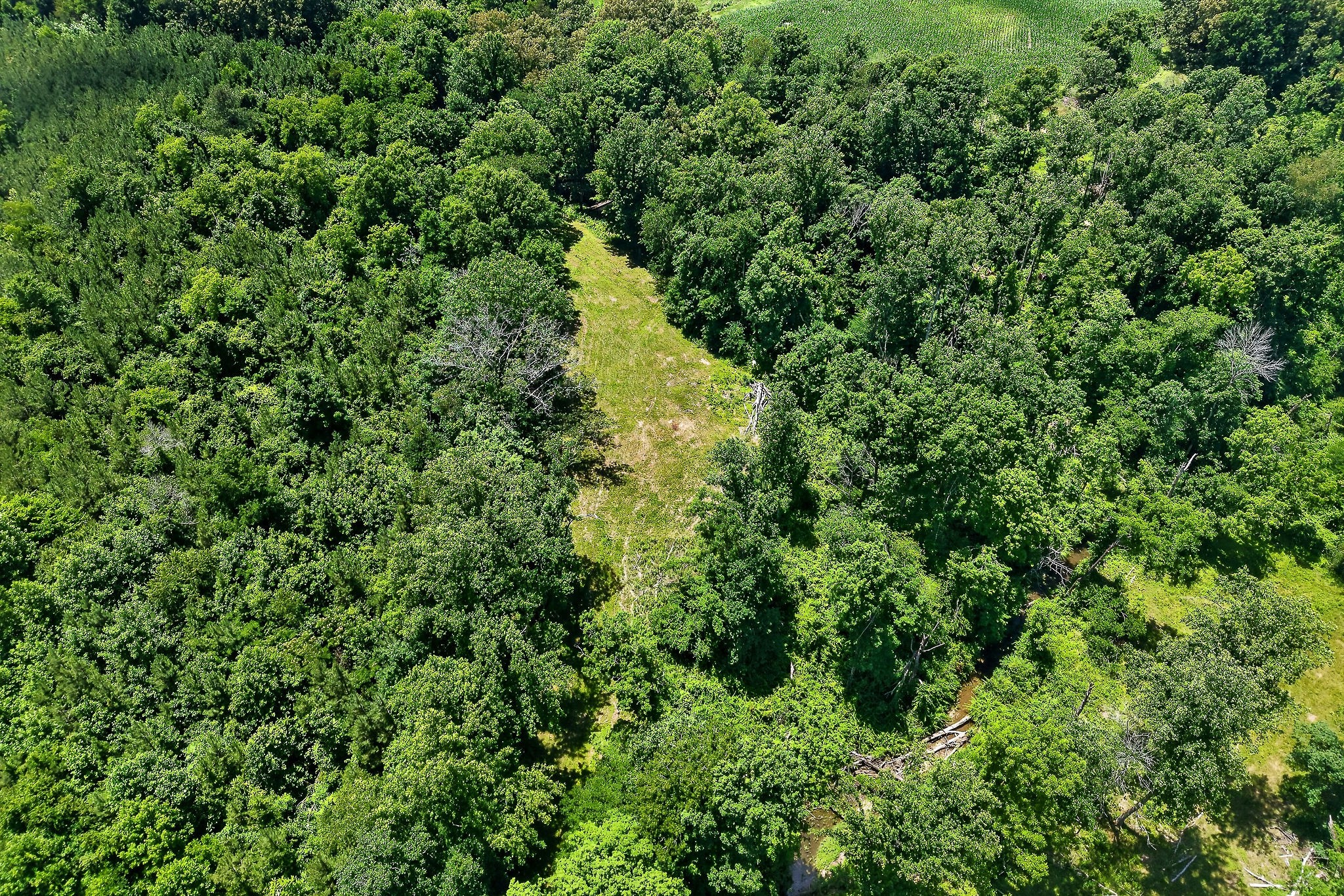 2531 Old Well Road Morrison, TN 37357 - Photo 52 of 63