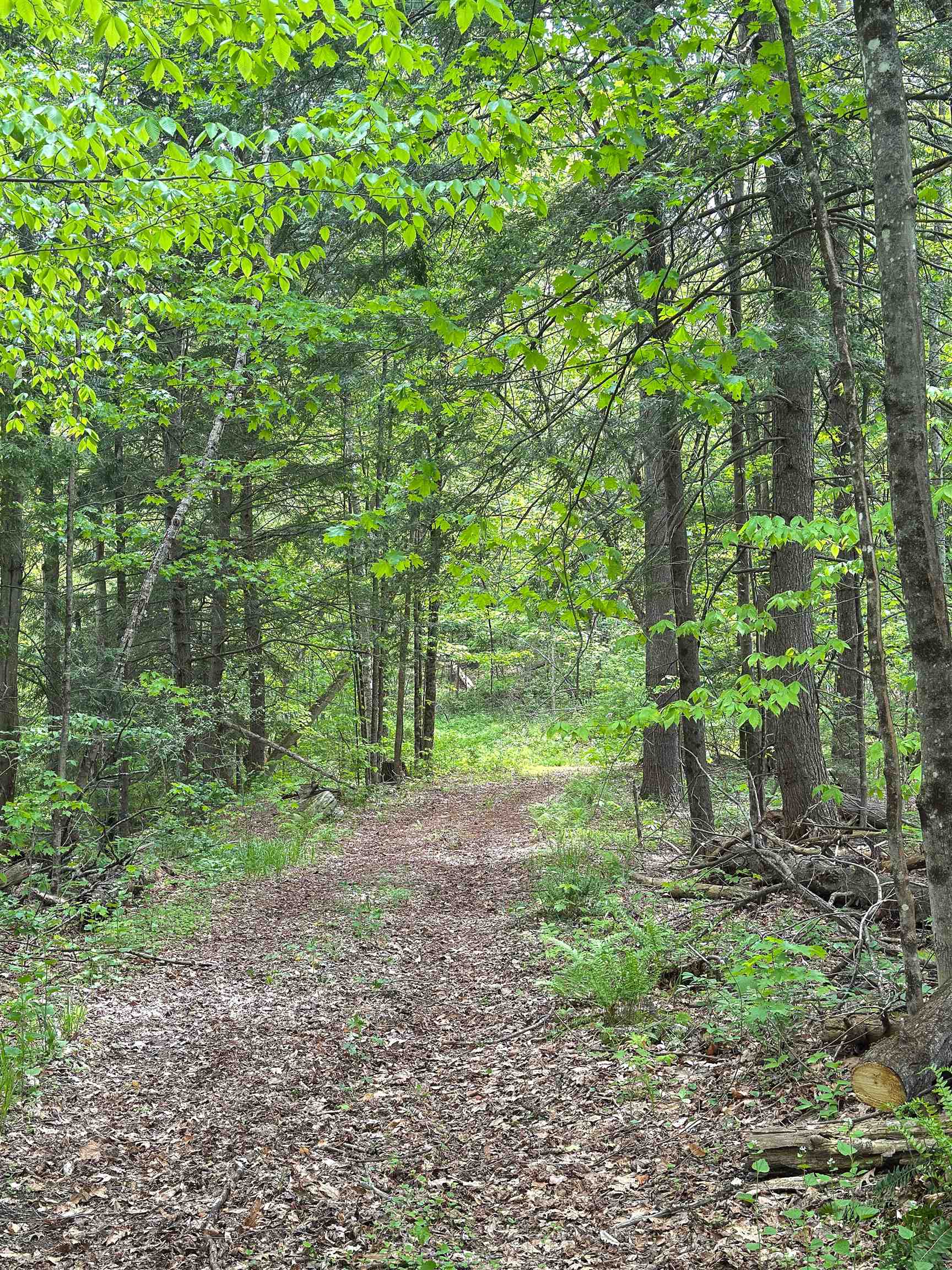 3051 Highway 107 Stockbridge, VT 05772 - Photo 16 of 30