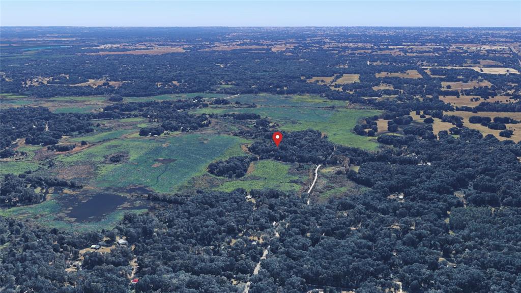 Northeast 155th Lane Citra, FL 32113 - Photo 7 of 11