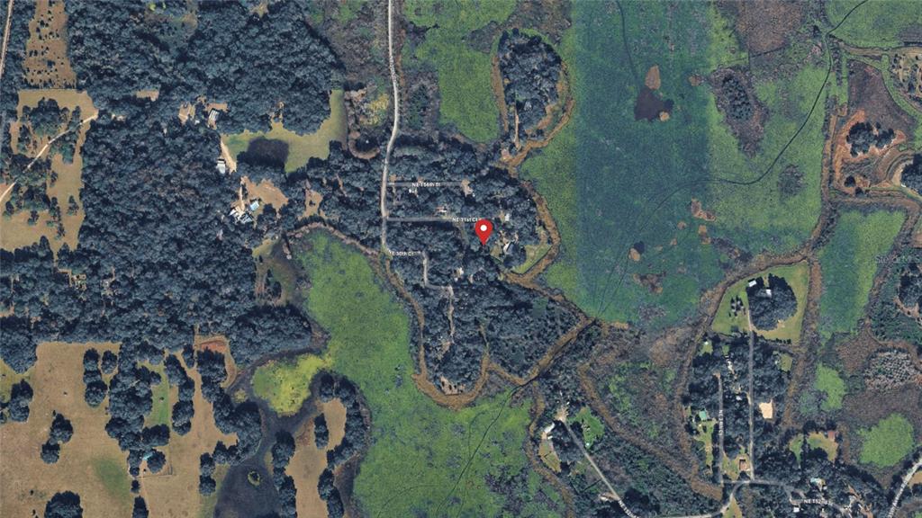 Northeast 155th Lane Citra, FL 32113 - Photo 8 of 11