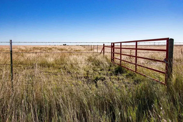 a view of a floor to ceiling window and carpet in the yard