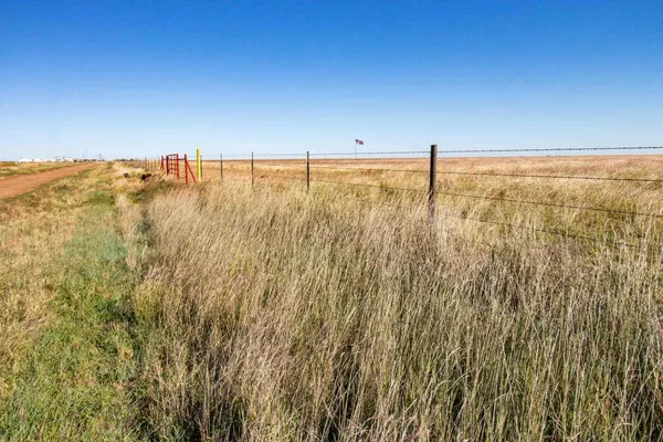 a view of a dry yard with trees