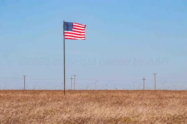 a view of a ocean beach