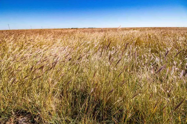 $7,243,560 | 60 Highway 60, Panhandle, TX 79068