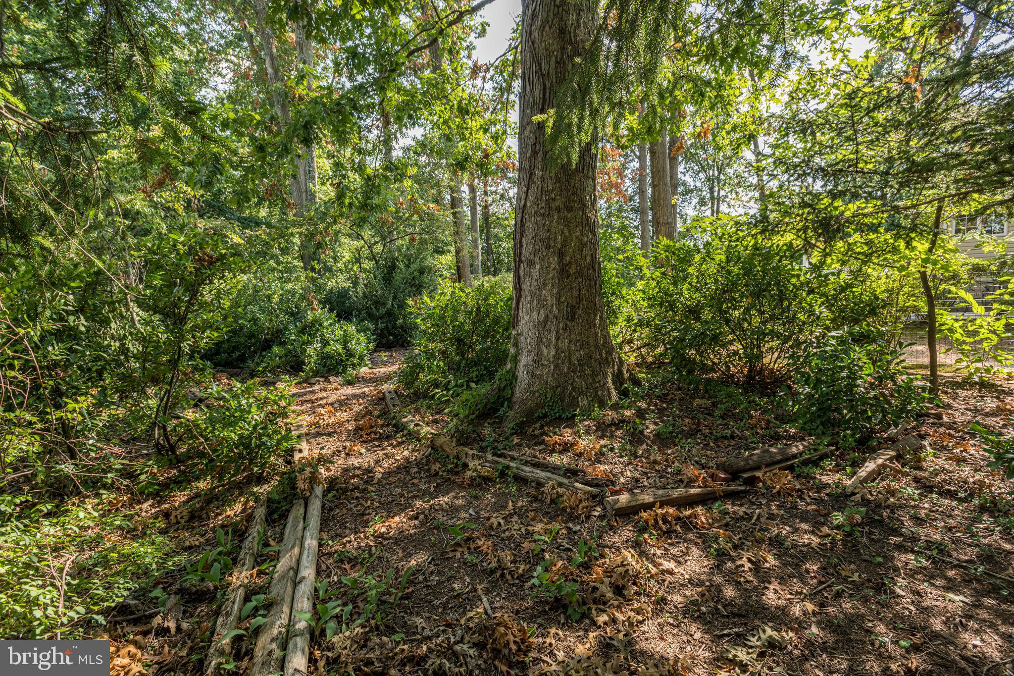 1804 Pot Spring Road Lutherville-Timonium, MD 21093 - Photo 63 of 67 Gallery Image 63