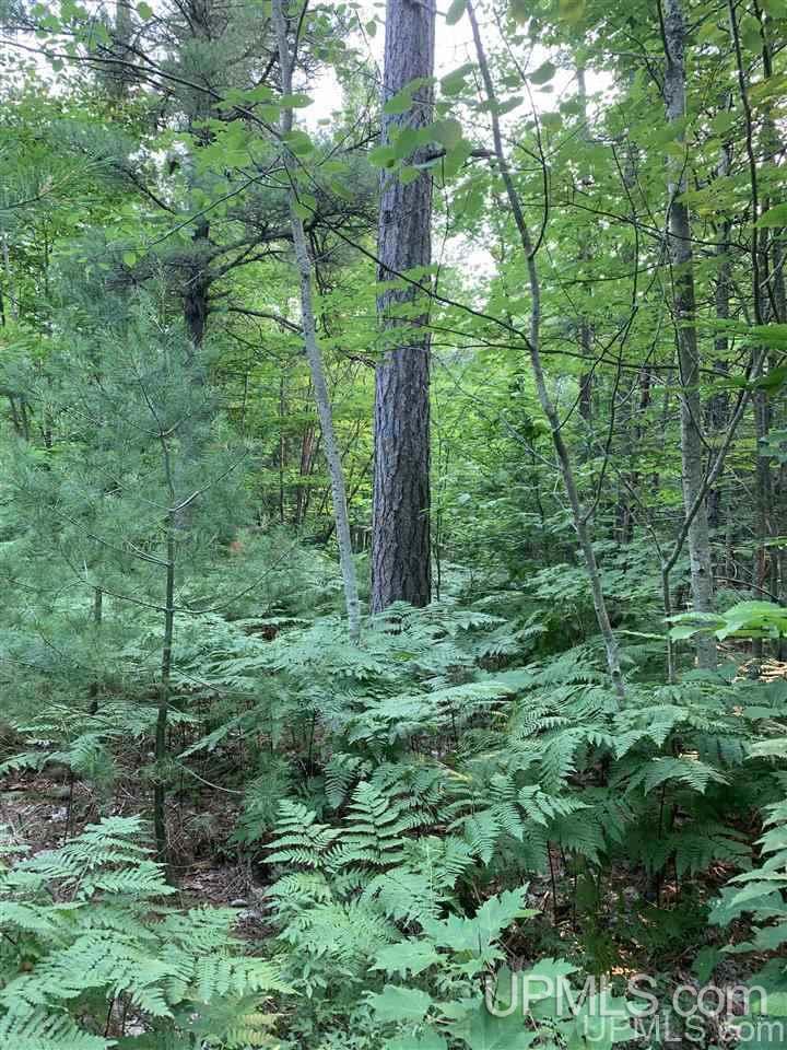 Lot 8 Powell Lake Road Wetmore, MI 49895 - Photo 2 of 6 Gallery Image 2