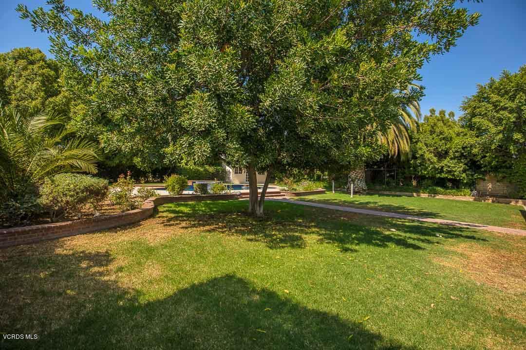 531 Bluegrass Street Simi Valley, CA 93065 - Photo 34 of 53 Backyard