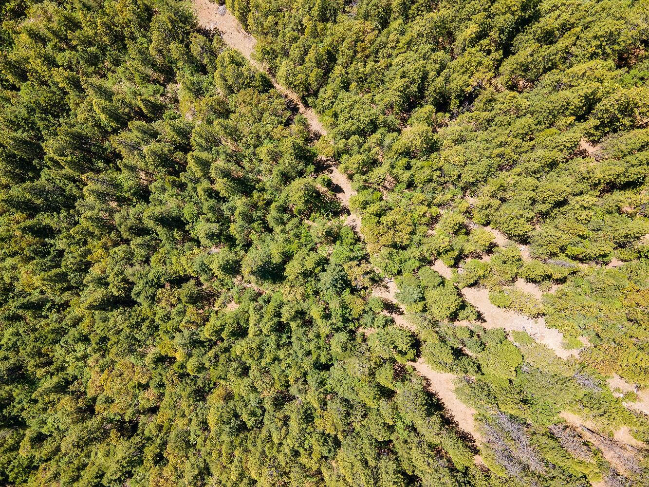 Jumpoff Joe Creek Road Grants Pass, OR 97526 - Photo 25 of 33 DJI_0449HDR01