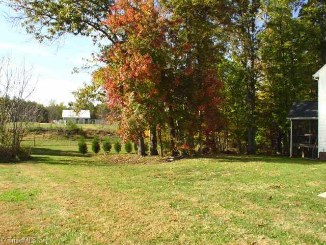 7701 Wilson Farm Road Summerfield, NC 27358 - Photo 9 of 9 Other. Backyard