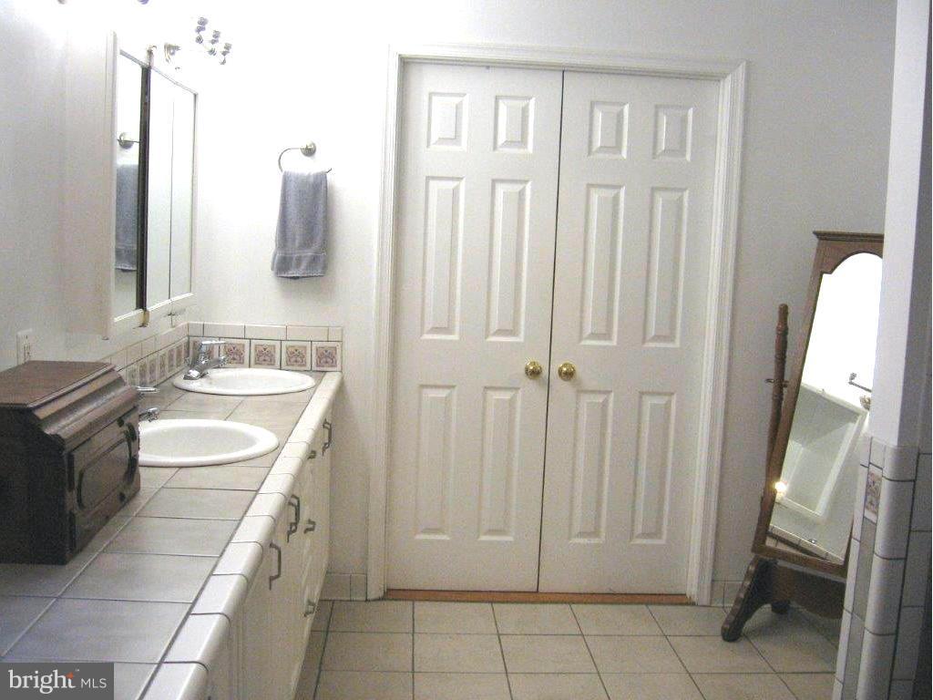 2471 Freetown Drive Reston, VA 20191 - Photo 11 of 30 Bath (Master)