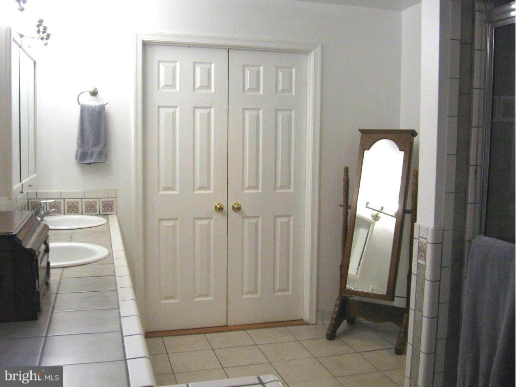 2471 Freetown Drive Reston, VA 20191 - Photo 12 of 30 Bath (Master)