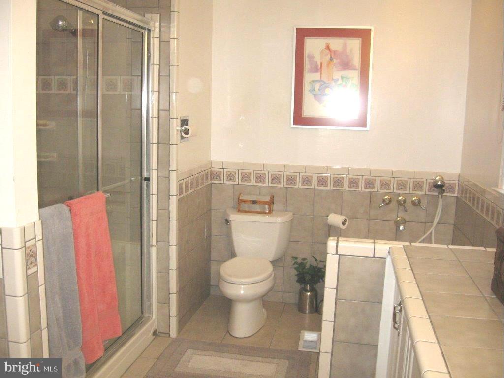 2471 Freetown Drive Reston, VA 20191 - Photo 10 of 30 Bath (Master)