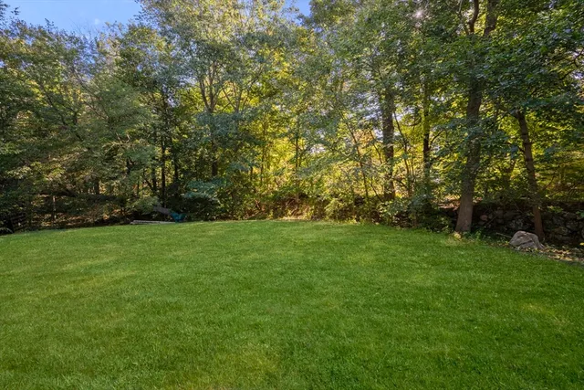 a view of yard with green space