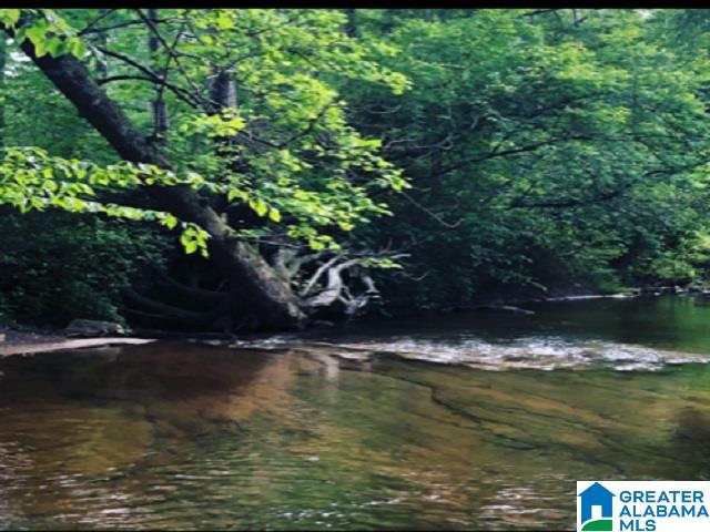 452 County Road, Unit 41 Woodland, AL 36280 - Photo 1 of 3