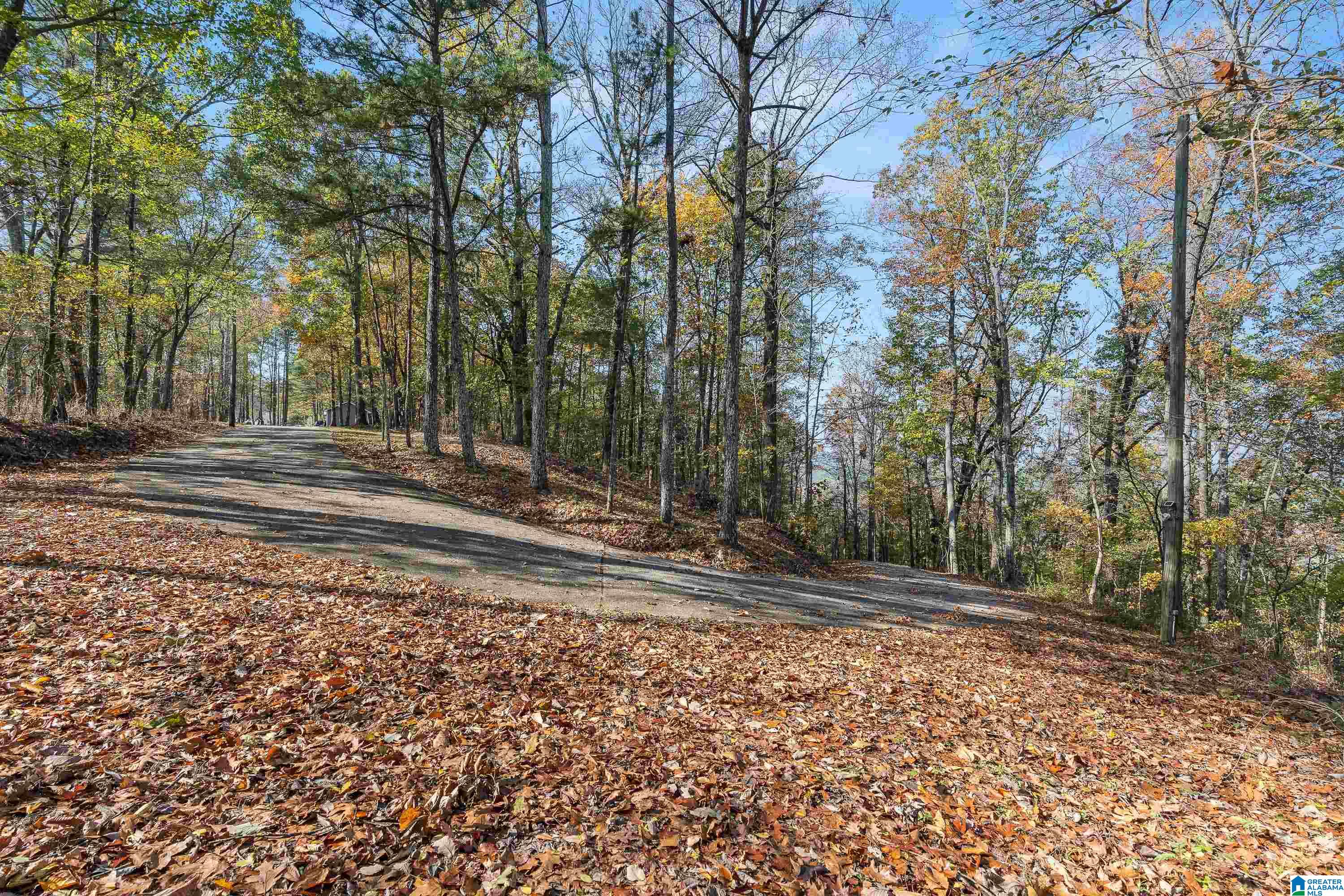 600 Honeysuckle Lane Springville, AL 35146 - Photo 60 of 77